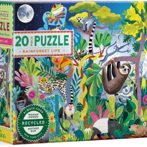 20 piece puzzle 1.jpg