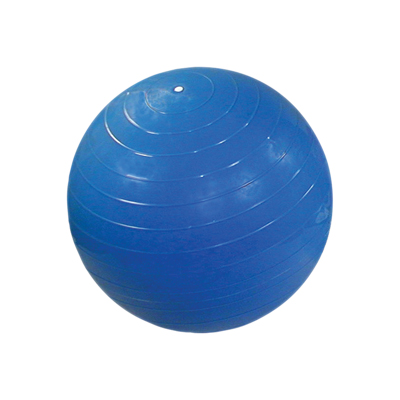 Therapy Ball (12”/30cm)