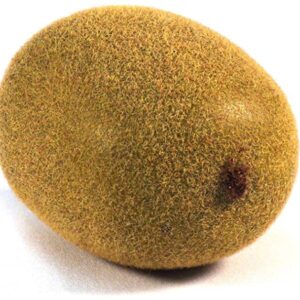 AF Kiwi.jpg