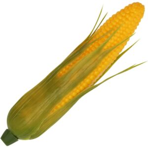 AV Corn.jpg
