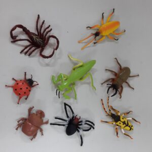 Big Plastic Bug.jpg