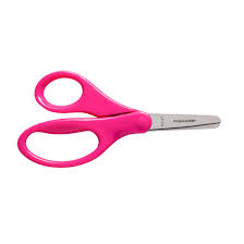 Blunt tip Scissors.jpg