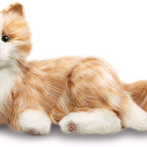 Campanion Cat 1.jpg