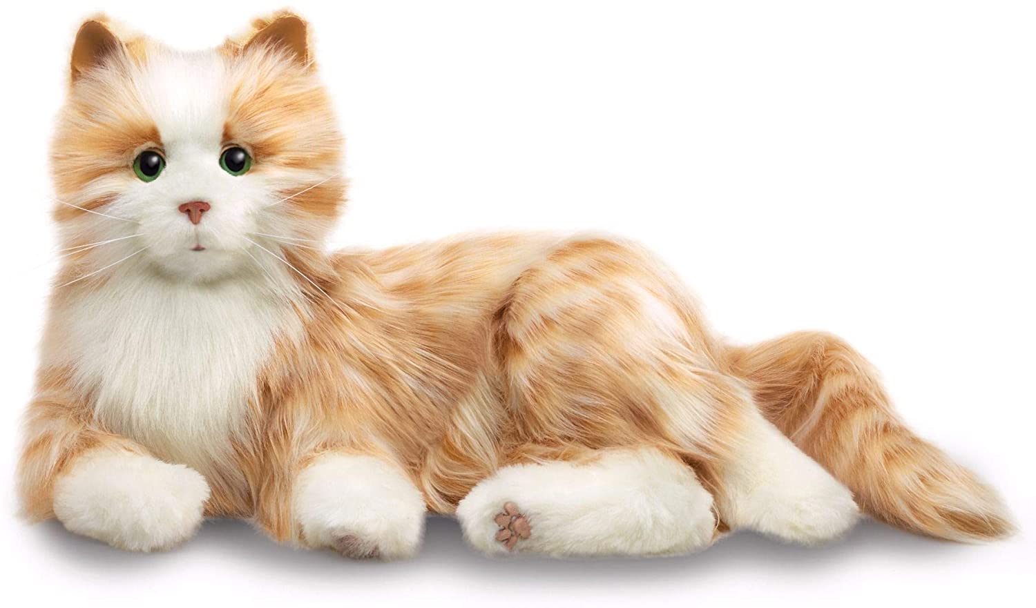Companion Cat - Orange Tabby Cat