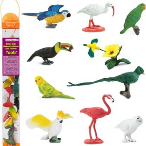 Category BIrds.jpg