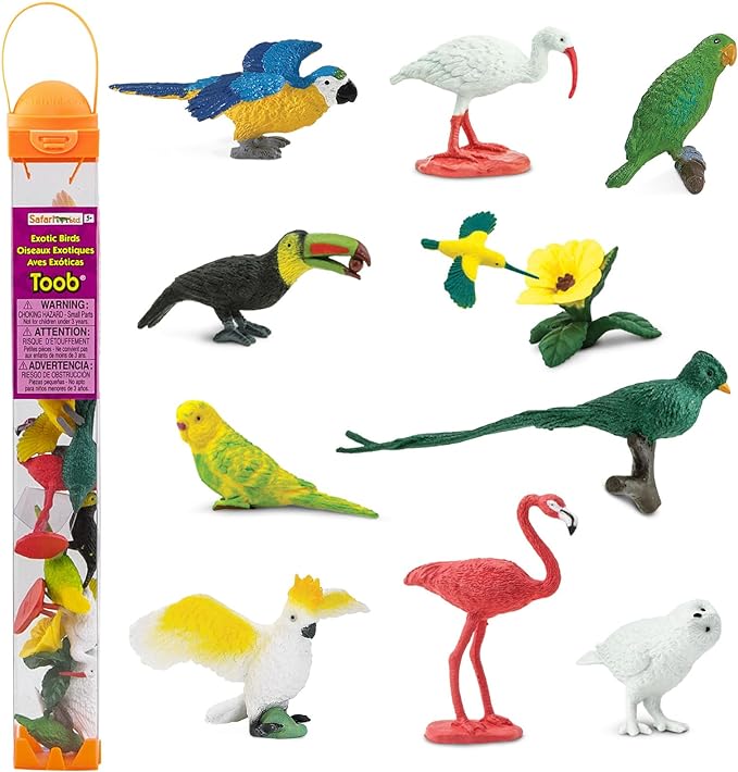 Category: Birds