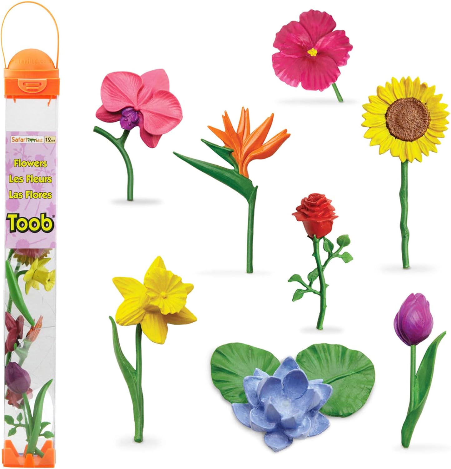 Category: Flowers