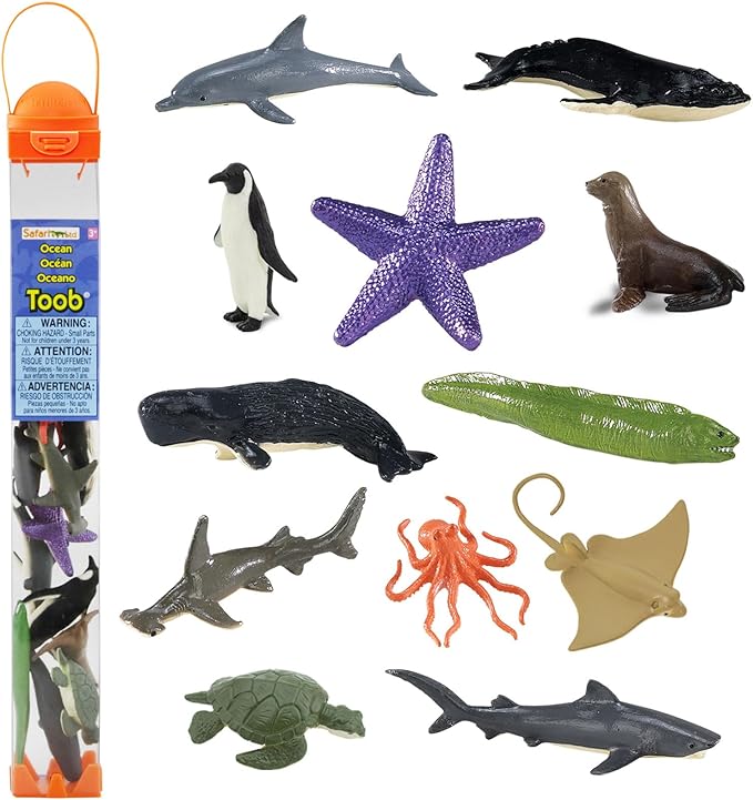 Category: Ocean Animals
