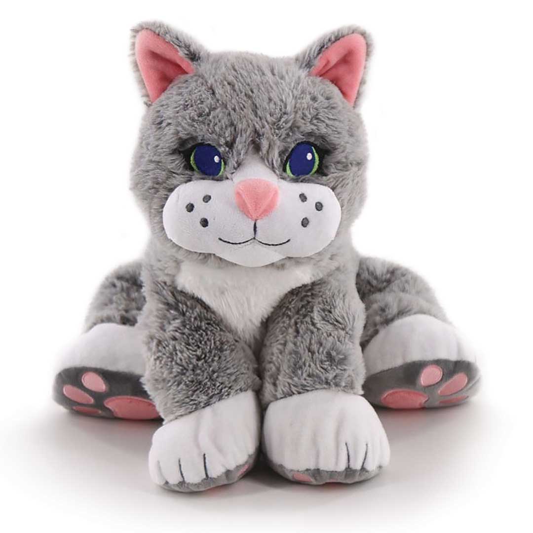 Chloe The Comfort Cat
