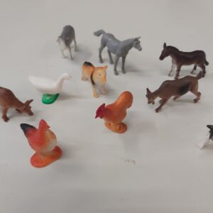Farm Animals scaled 1.jpg