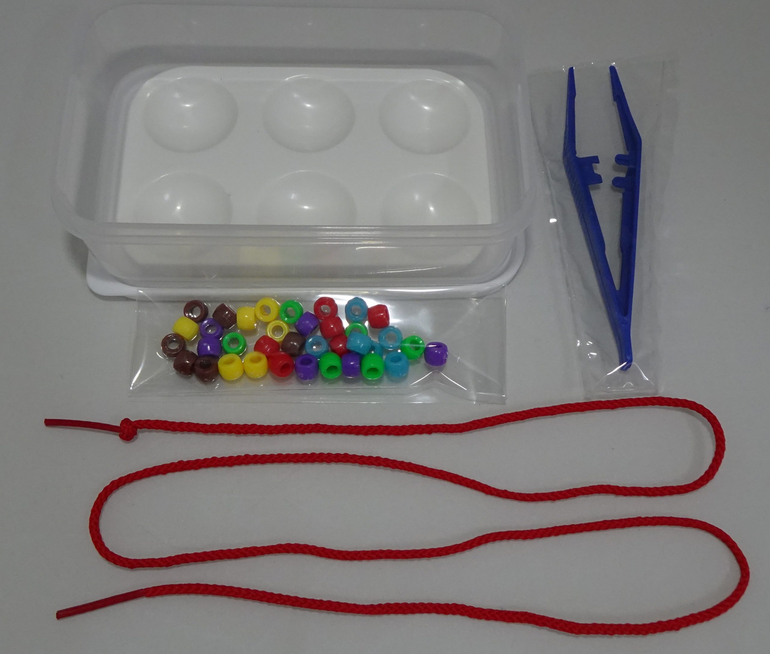 Fine Motor Kit 1: Transferring/ Sorting and Lacing Activities