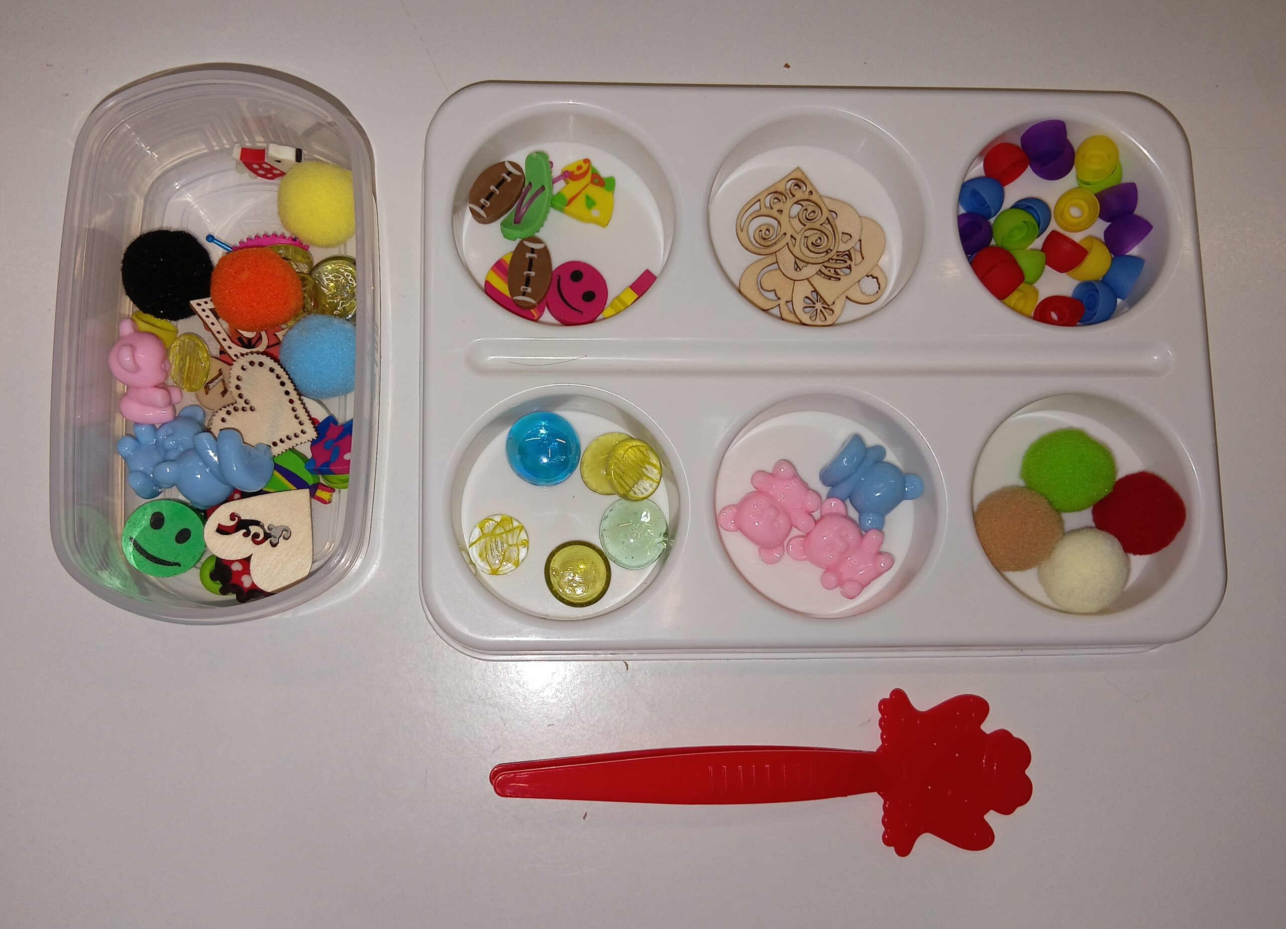 Fine Motor Kit 2 : Transferring & Sorting Skills