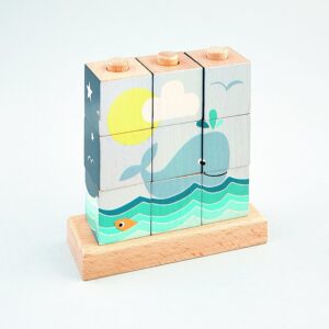 Floss Rock Puzzle.jpg