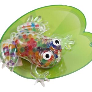 Frog Rainbow.jpg