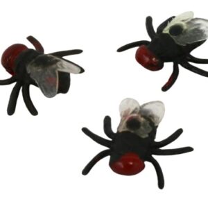 Housefly.jpg