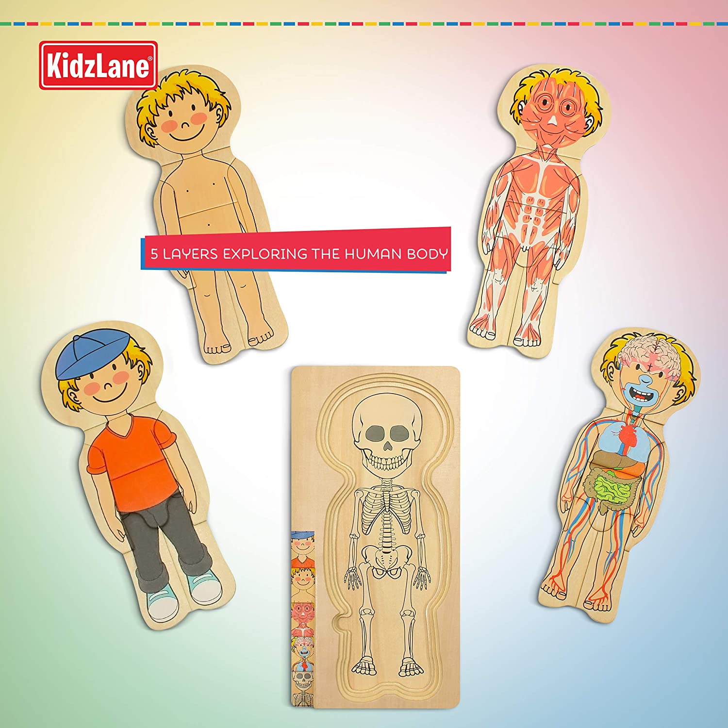Kidzland Wooden Human Body Puzzle - Image 2