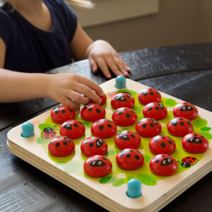 Ladybug Memory Game 1.jpg