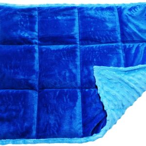 Lap Pad 7lb.jpg