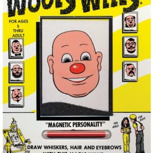 Magnetic Hair Do Wooly Willy.jpg
