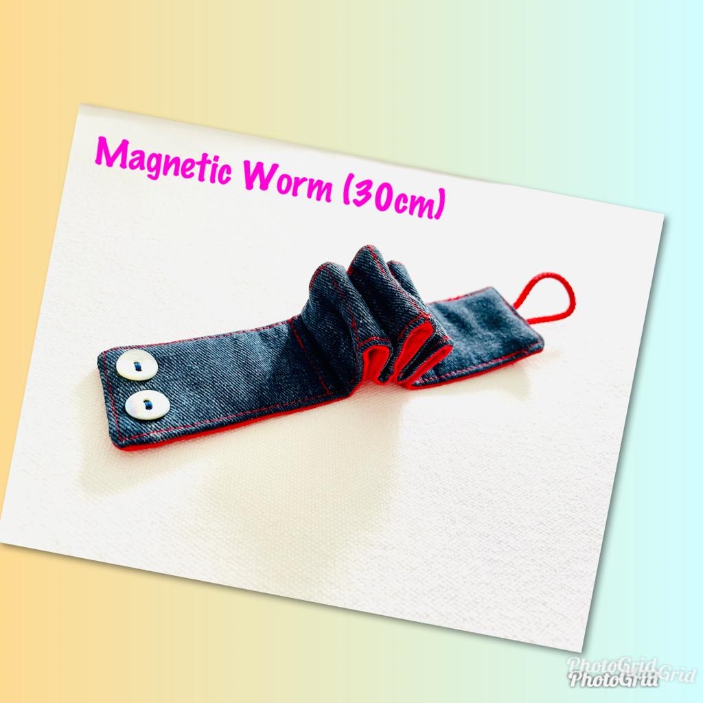 Magnetic Sensory Worm