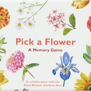 PIck a flower memory Game.jpg