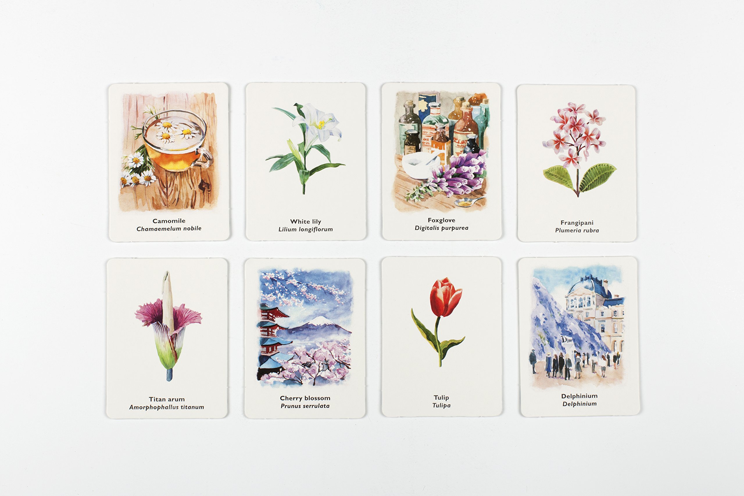 Pick A Flower: A Memory Game - Image 2