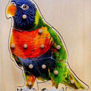 Peg Puzzle Parrot.jpg