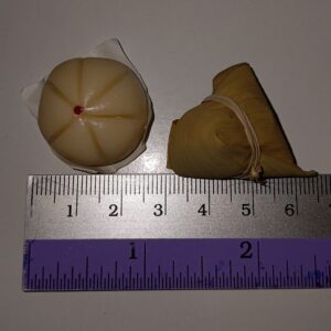 SPT Bao and Dumpling.jpg