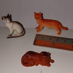 SPT Cats scaled 1.jpg