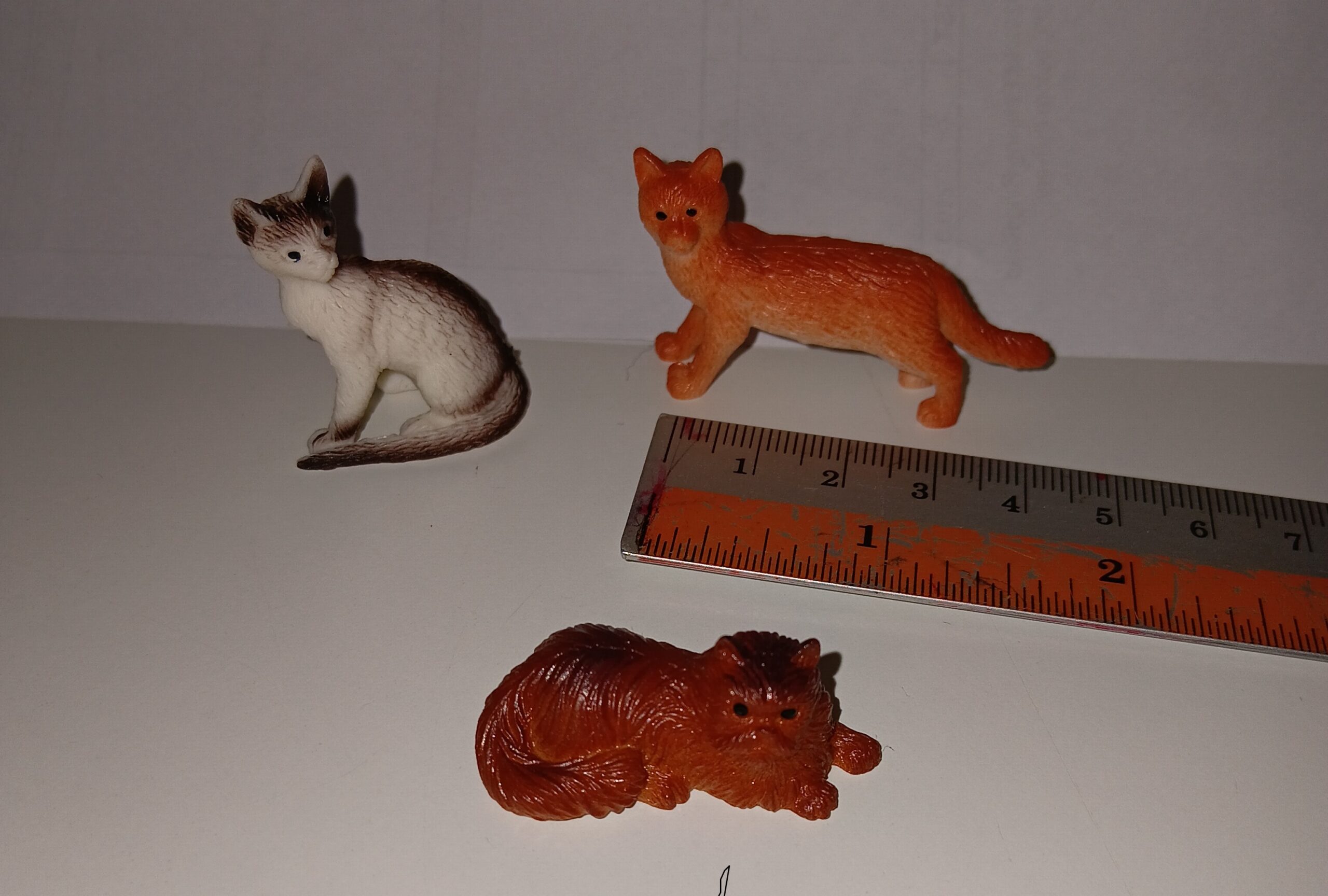 Sand Play Therapy: Cat