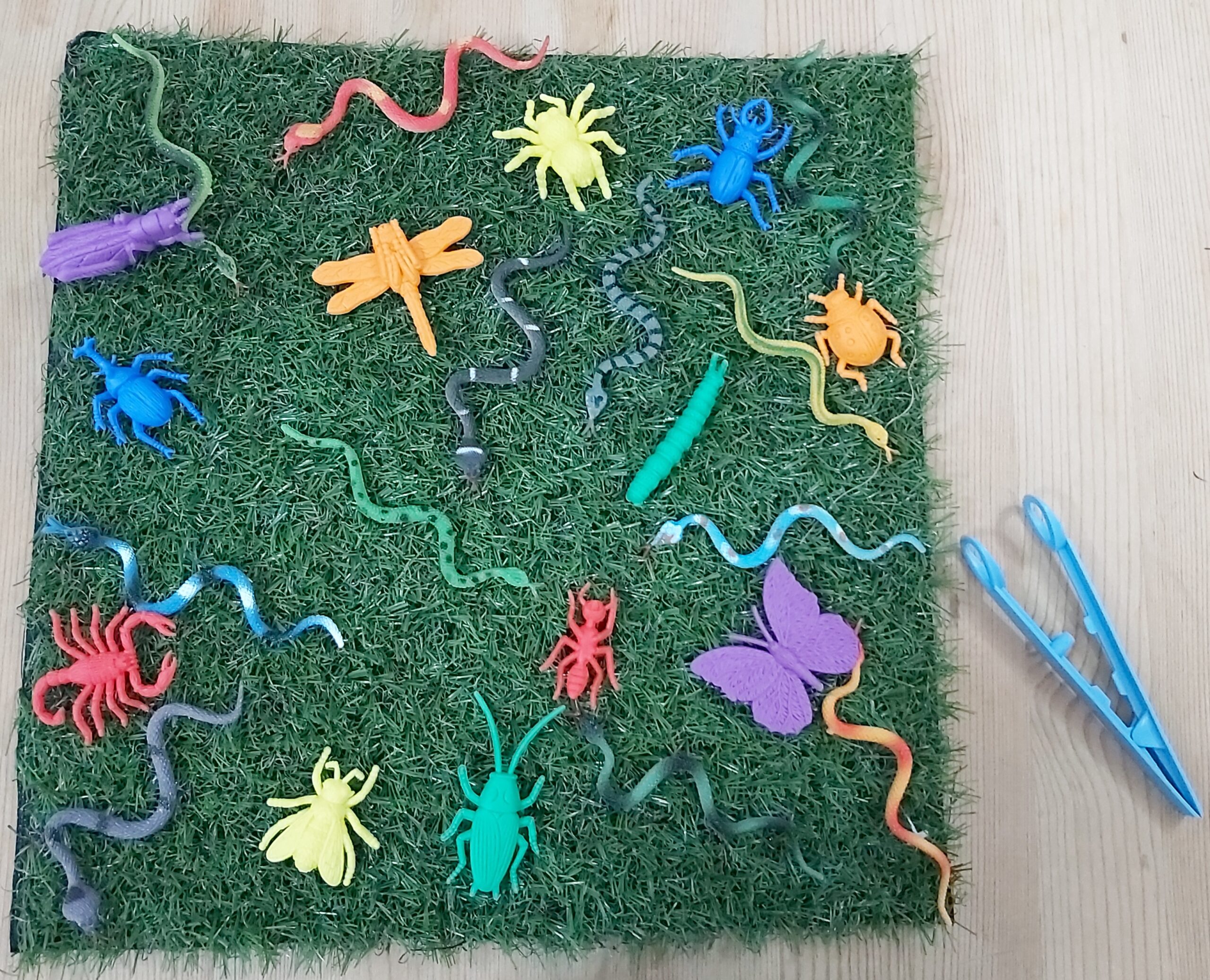 Save The Bugs