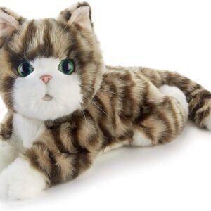 Silver Tabby Kitten 1.jpg