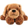 Theo The Weighted Dog 1.jpg