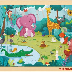 Top Bright puzzle.jpg