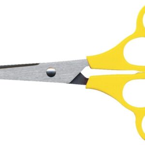 Training Scissors.jpg