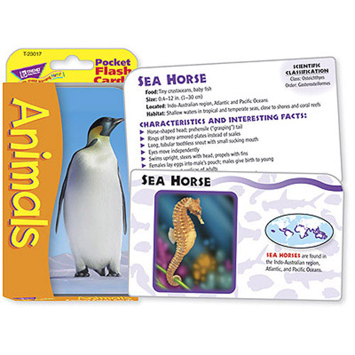 Trend Flash Cards - Animals
