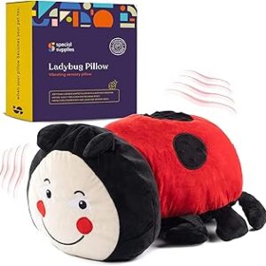 Vibrating Pillow Ladybug.jpg