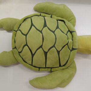 Weighted turtle