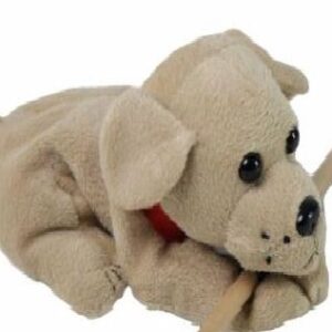 Animal weight Dog.jpg