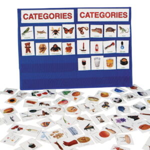 Categoreis with pocket chart 1.jpg