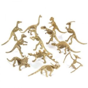 Dino skeleton.jpg