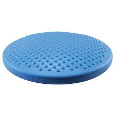 Disc of sit 1.jpg