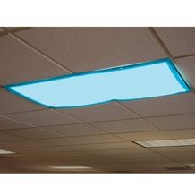 Fluorescent Light Filter