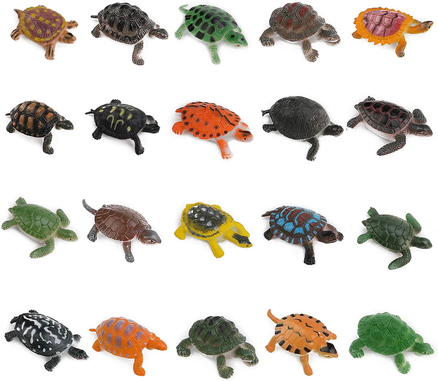 Assorted Sea Turtles