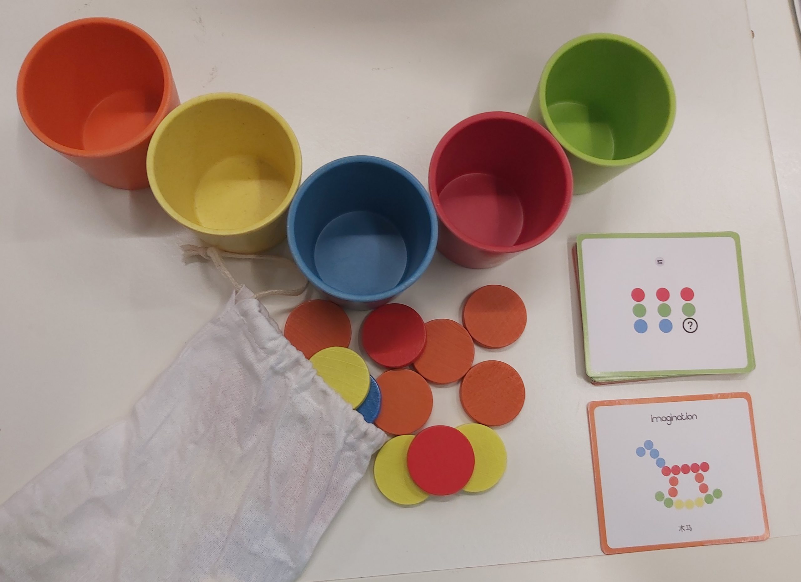 Sorting/Patterning Activity