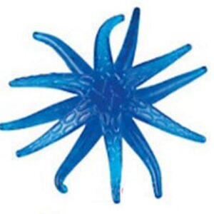 Sticky star.jpg