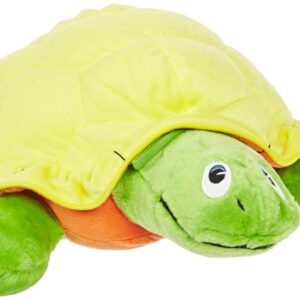 Vibrating turtle.jpg