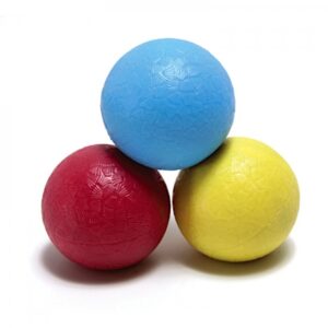 Weighted ball set.jpg