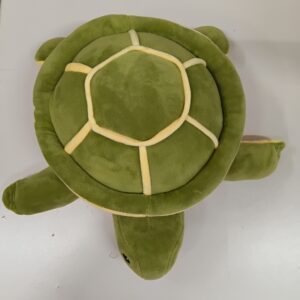 Weighted Turtle 1kg
