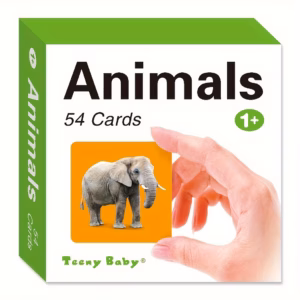 Animals Flash Cards